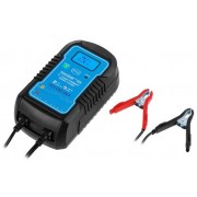 Зарядное устройство Solaris CH-81 Digital  (CH81D011)